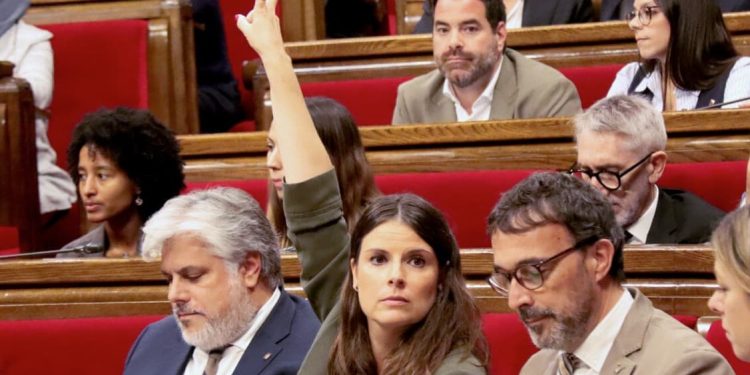 Mònica Sales Junts