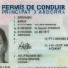 Exemple del permís de conduir. Foto: Govern d'Andorra