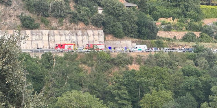 Accident mortal N-145