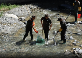 Més despesa pública en protecció del medi ambient. Foto: SFGA