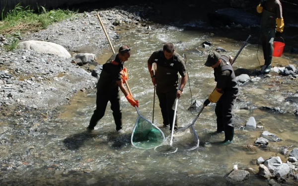 Més despesa pública en protecció del medi ambient. Foto: SFGA