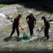 Més despesa pública en protecció del medi ambient. Foto: SFGA
