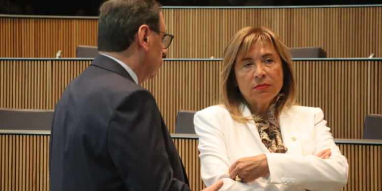 La ministra de Presidència, Economia, Treball i Habitatge, Conxita Marsol.