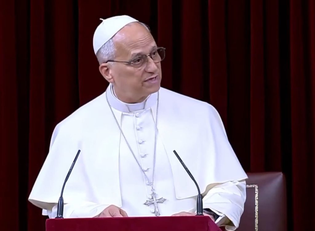 El papa Lleó XIV