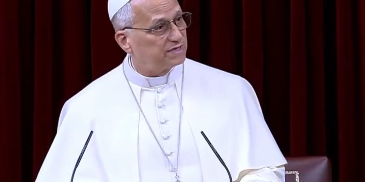 El papa Lleó XIV