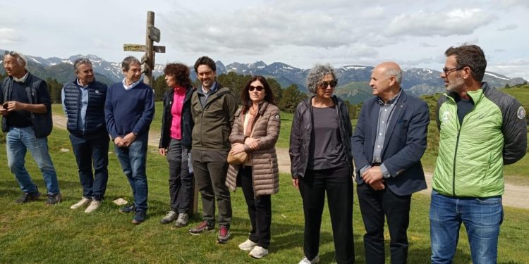 Camí de la transhumància