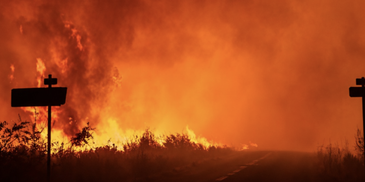 Els incendis de la regió de la Gironda i les Landes. Foto: Creu Roja Andorrana