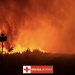 Els incendis de la regió de la Gironda i les Landes. Foto: Creu Roja Andorrana