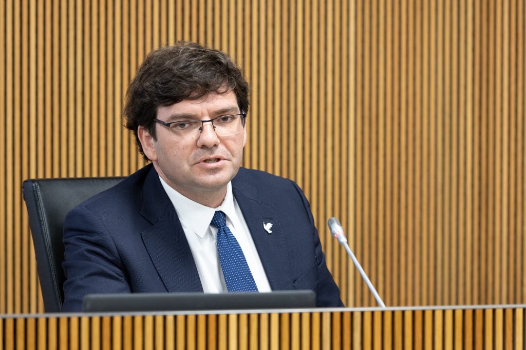 Xavier Cañada al Consell General. Foto: Consell General