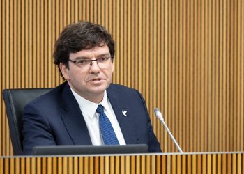 Xavier Cañada al Consell General. Foto: Consell General