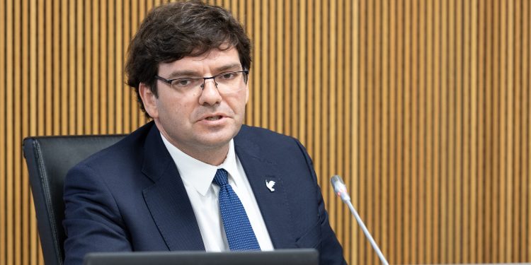 Xavier Cañada al Consell General. Foto: Consell General