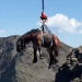 Rescat del cavall en plena alta muntanya.