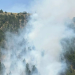 Fotografia de l'incendi.