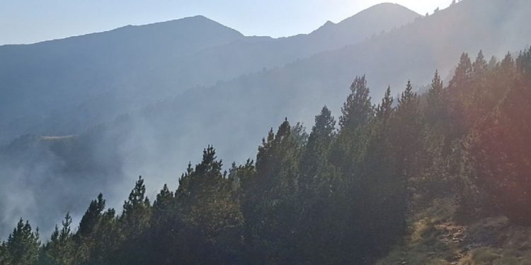Incendi a Os de Civís. Foto: Bombers de la Generalitat