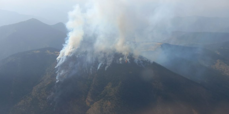 Imatge de l'incendi.
