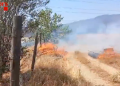 Incendi de vegetació a la Seu.