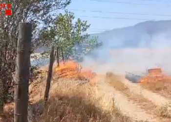 Incendi de vegetació a la Seu.