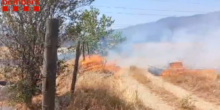 Incendi de vegetació a la Seu.
