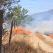 Incendi de vegetació a la Seu.