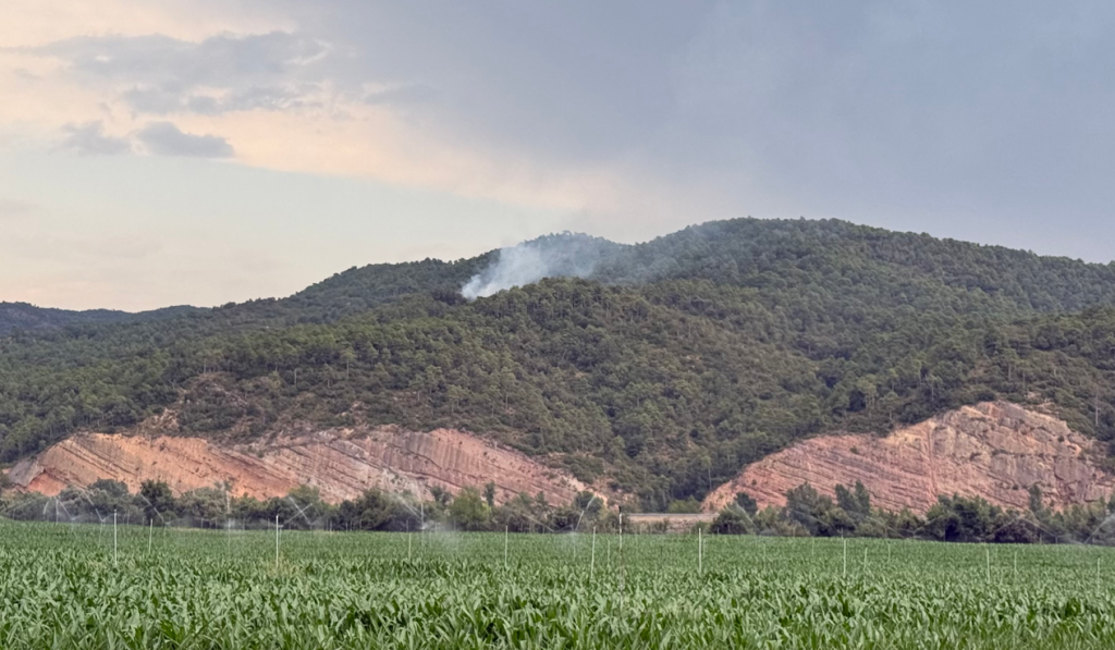 Incendi causat per un llamp a Oliana.