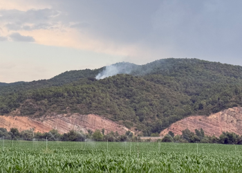 Incendi causat per un llamp a Oliana.