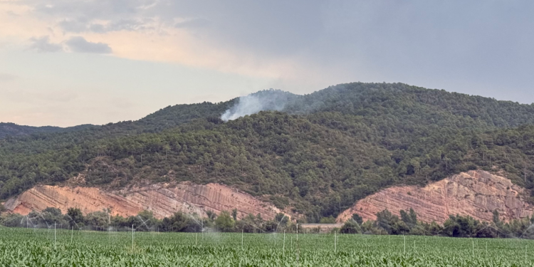 Incendi causat per un llamp a Oliana.