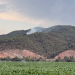 Incendi causat per un llamp a Oliana.