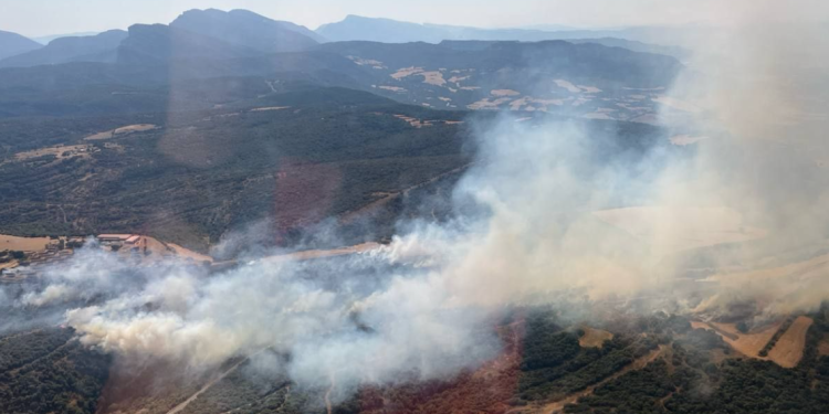 Incendi a prop de la carretera de Comiols, al municipi d'Artesa de Segre.