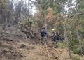 Bombers treballant a la zona de l'incendi. Foto: Bombers d'Andorra