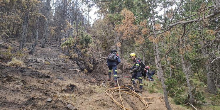 Bombers treballant a la zona de l'incendi. Foto: Bombers d'Andorra