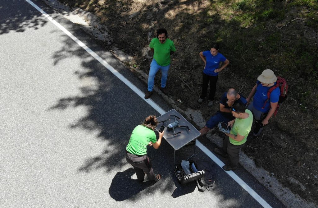 Prova boscos d'Andorra