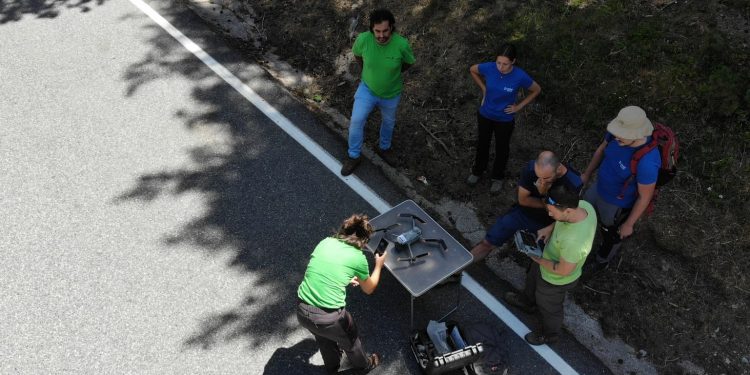 Prova boscos d'Andorra