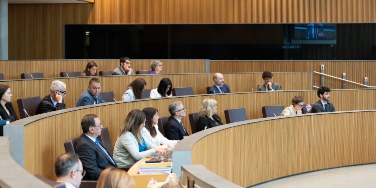 Sessió de Consell General d'aquest dimecres. Foto: Consell General