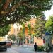El passeig Joan Brudieu de la Seu d'Urgell