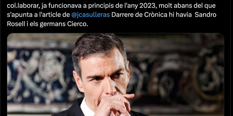 Post on s'explica a X que els Cierco eren darrere del mitjà de les clavegueres del PSOE / X