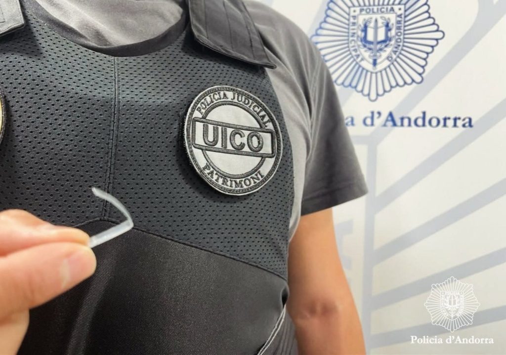 policia lladres pisos