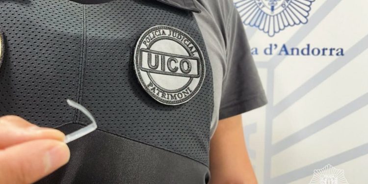 policia lladres pisos
