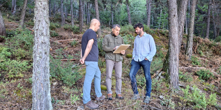 El cònsol de Sant Julià de Lòria, Cerni Cairat, amb l'enginyer forestal, Esteve Tor, en el bosc.