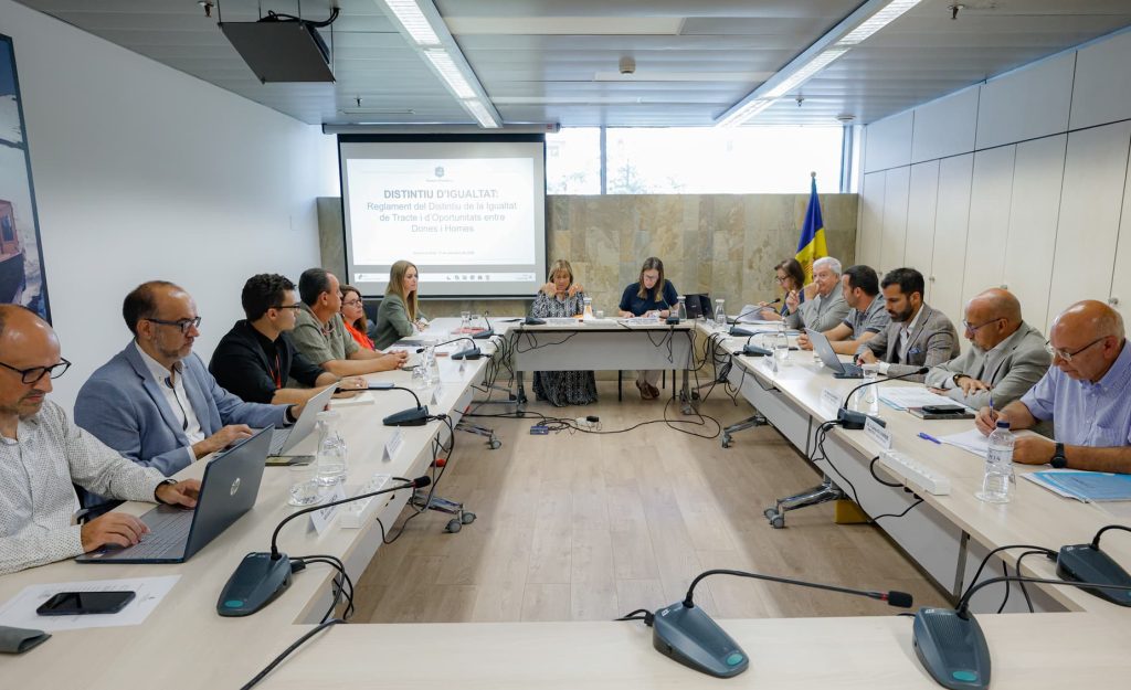 El Consell Econòmic i Social