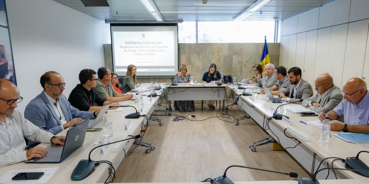 El Consell Econòmic i Social