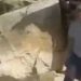 Contrabandista amb un matxet a la muntanya abans de passar cap a França / Xarxes
