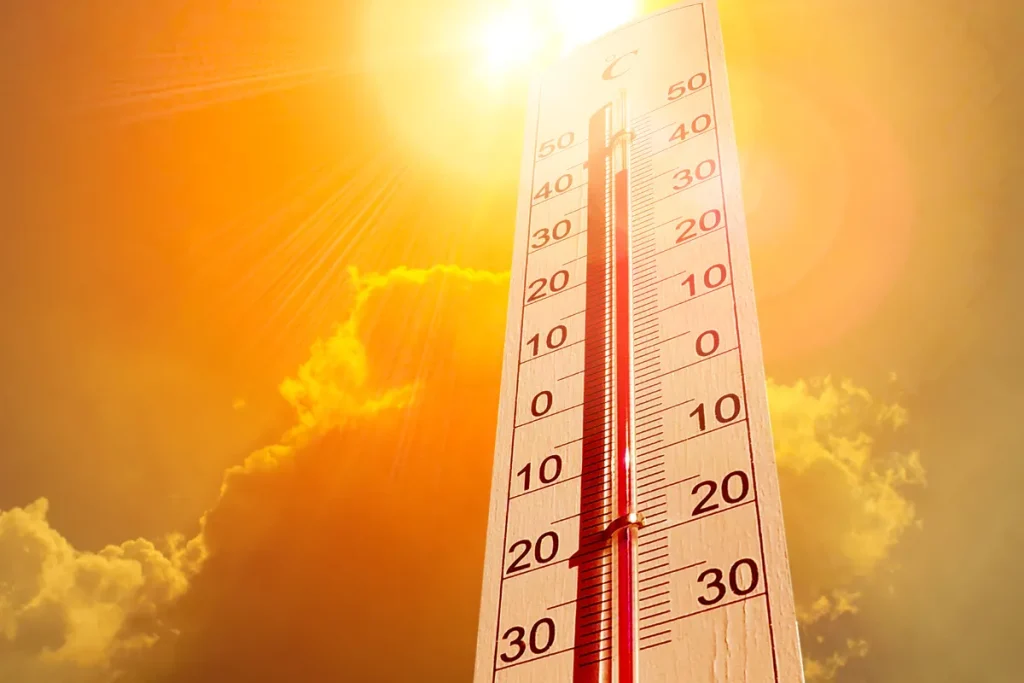 Nova onada de calor / Xarxes