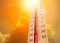 Nova onada de calor / Xarxes