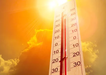 Nova onada de calor / Xarxes