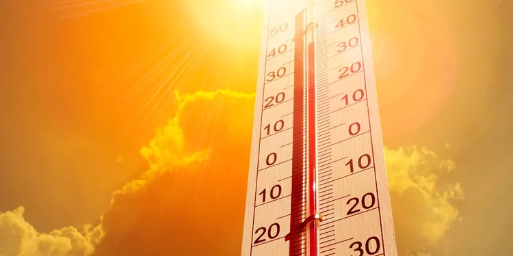 Nova onada de calor / Xarxes