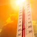 Nova onada de calor / Xarxes