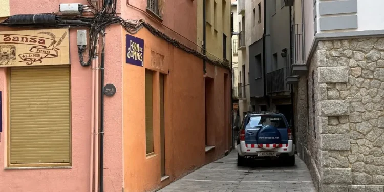 Cotxe dels mossos al lloc dels fets / VIurePirineus
