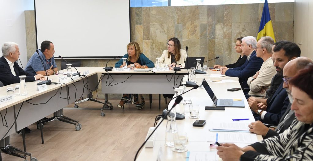 Consell econòmic i social