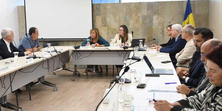 Consell econòmic i social
