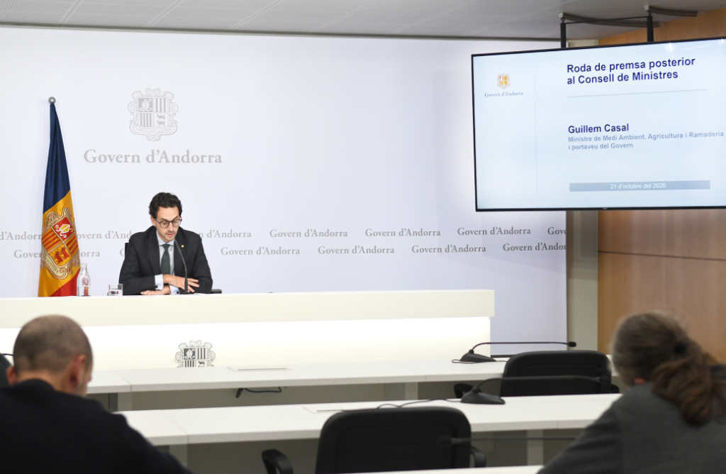 El ministre portaveu, Guillem Casal, durant la roda de premsa posterior al consell de ministres d'aquest dimecres.